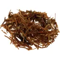 [Long Dan] Gentianae radix et rhizoma