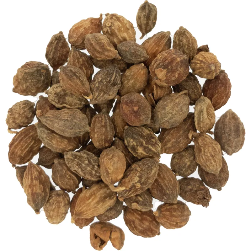 [Yi Zhi Ren] Alpiniae oxyphyllae fructus