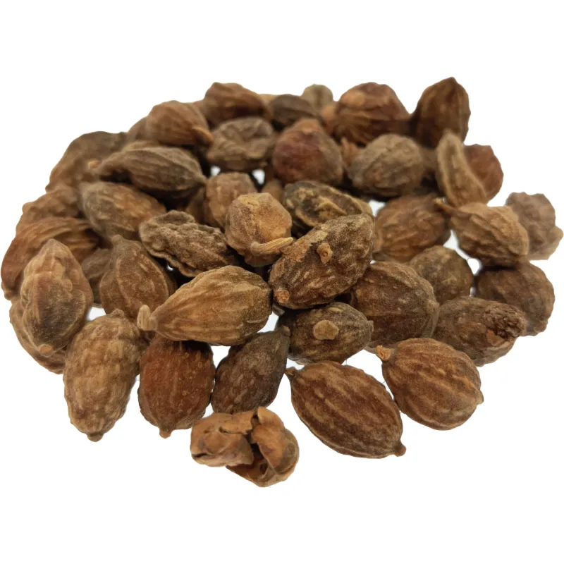 [Yi Zhi Ren] Alpiniae oxyphyllae fructus