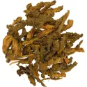 [Huang Lian] Coptidis rhizoma