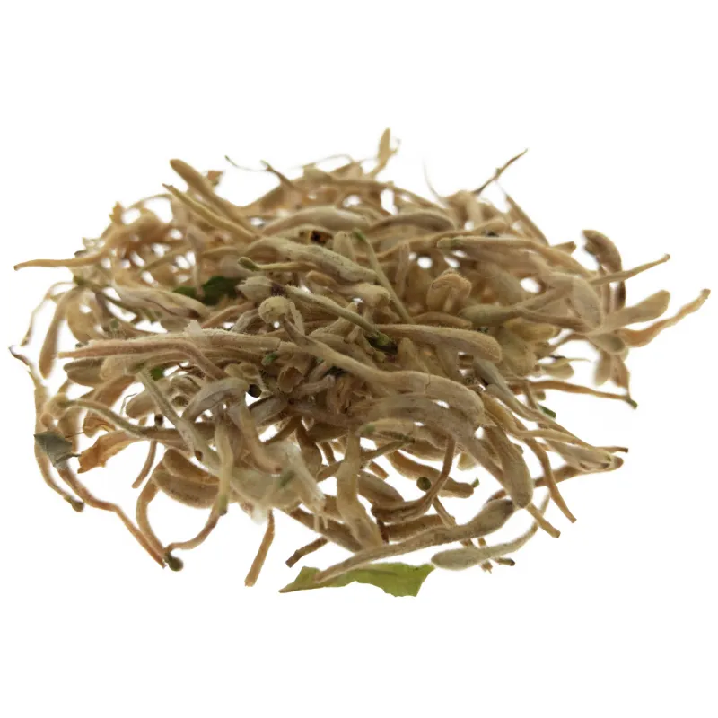 [Jin Yin Hua] Lonicerae japonicae flos