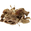 [Sang Bai Pi] Mori cortex