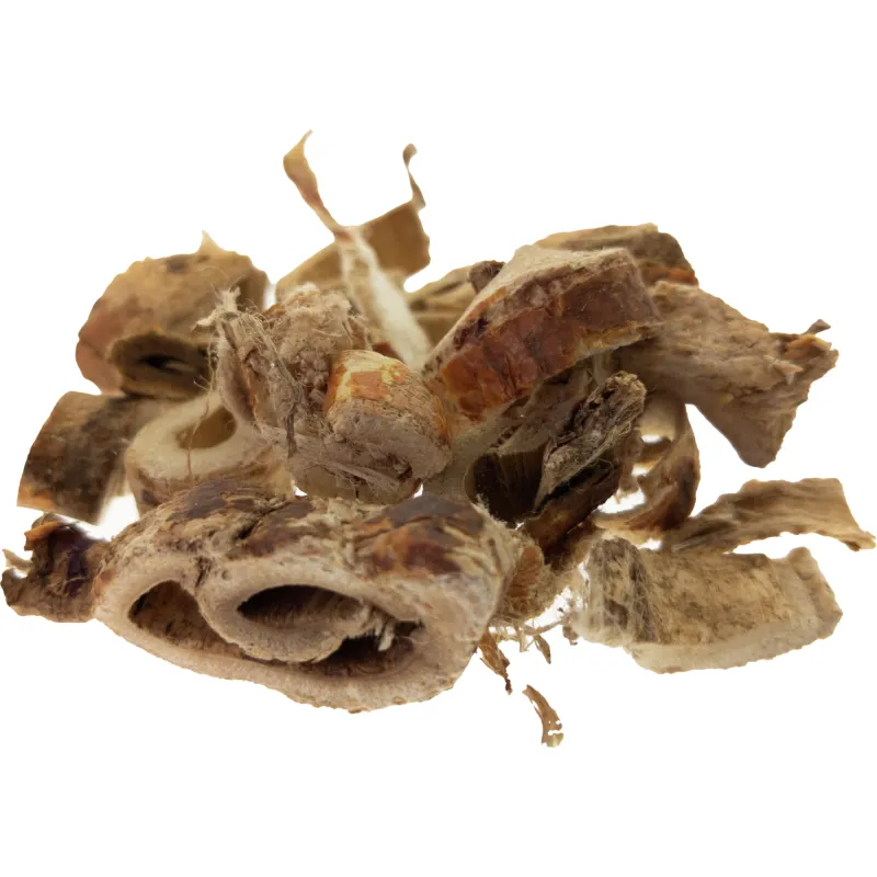 [Sang Bai Pi] Mori cortex