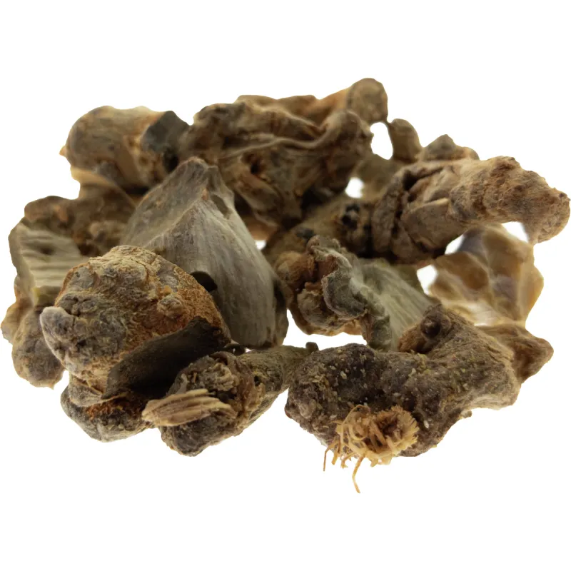 [San Qi] Notoginseng radix et rhizoma