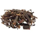 [Sang Ji Sheng] Taxilli herba