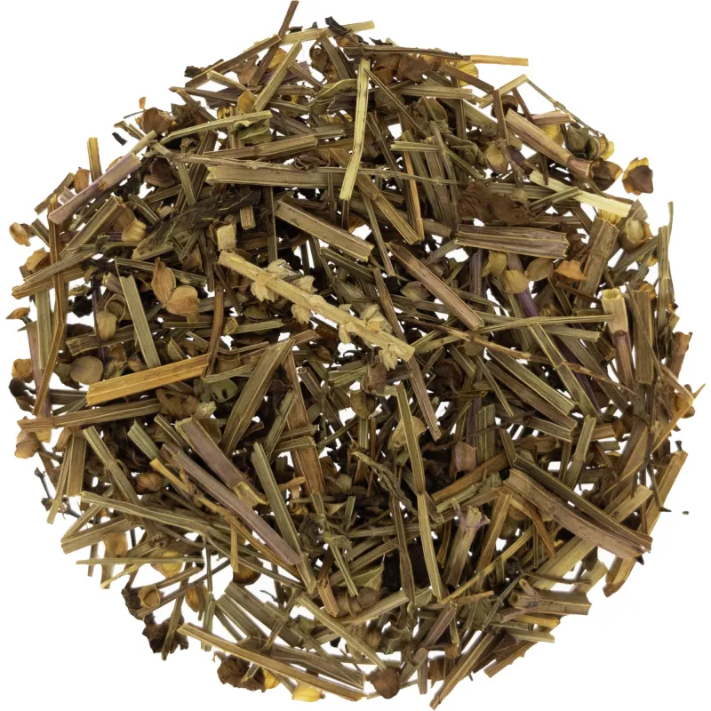 [Ban Zhi Lian] Scutellariae barbatae herba