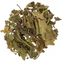 [Sang Ye] Mori folium