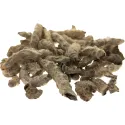 [Jiang Can] Bombyx batryticatus