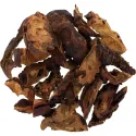 [Mu Gua] Chaenomelis fructus