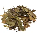 [Sang Ye] Mori folium