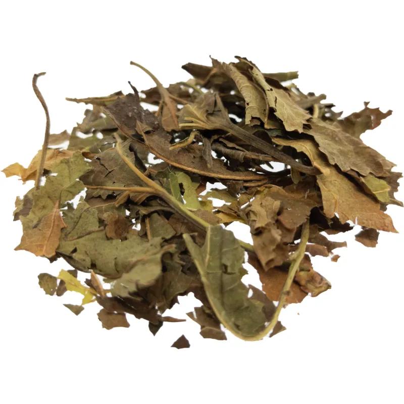 [Sang Ye] Mori folium