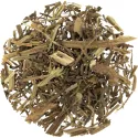 [Ma Bian Cao] Verbenae herba