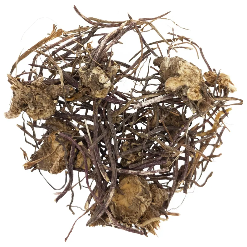 [Zi Wan] Asteris radix et rhizoma