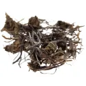 [Zi Wan] Asteris radix et rhizoma