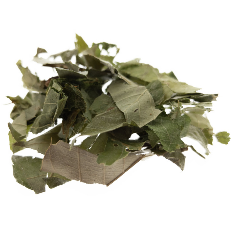 [Yin Yang Huo] Epimedii herba