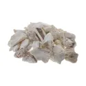 [Sheng Long Gu] Mastodi fossilia ossis