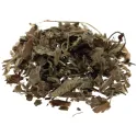 [Xian He Cao] Agrimoniae herba