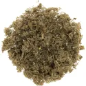 [Yin Chen] Artemisiae scopariae herba