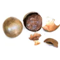 [Luo Han Guo] Siraitiae fructus