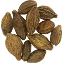 [He Zi] Chebulae fructus