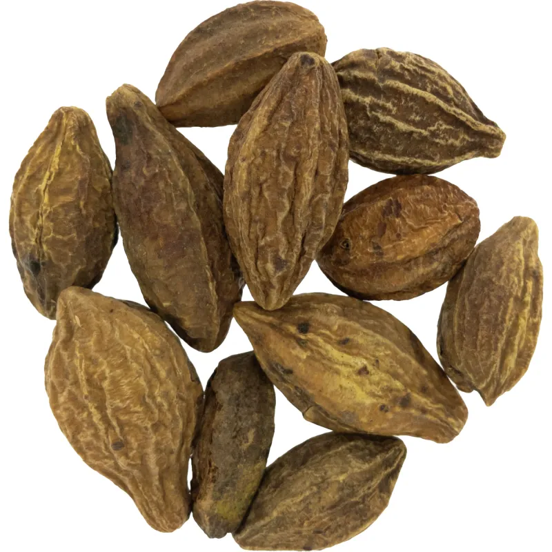 [He Zi] Chebulae fructus