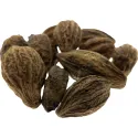 [He Zi] Chebulae fructus