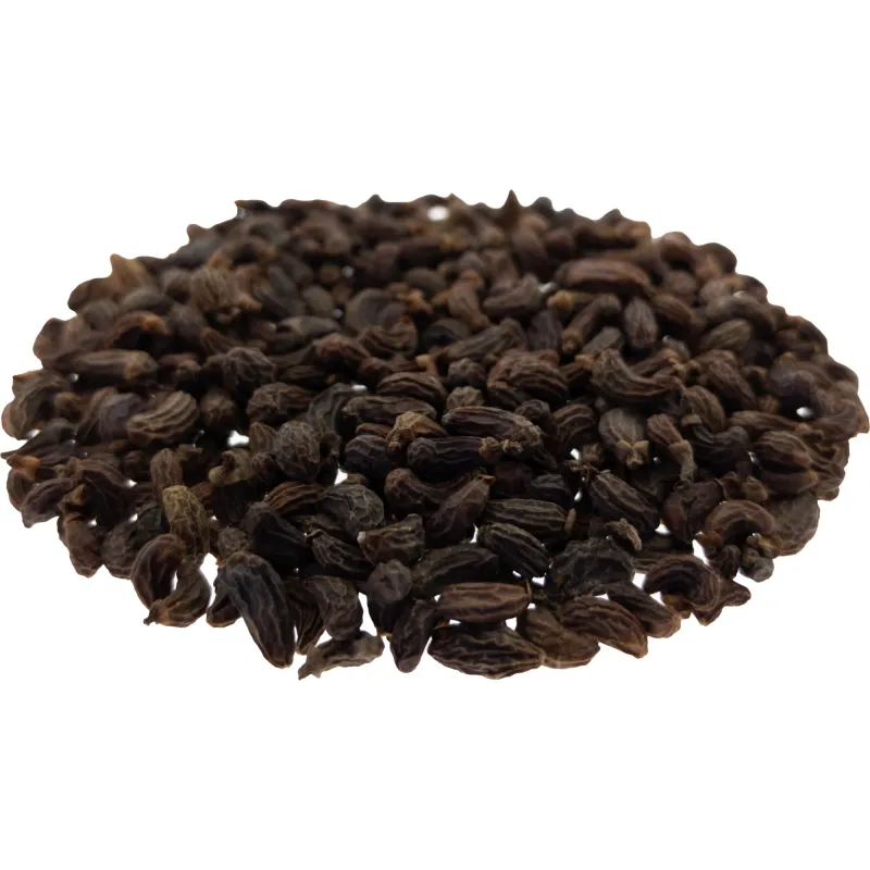 [Nu Zhen Zi] Ligustri lucidi fructus