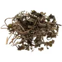 [Jin Qian Cao] Lysimachiae herba