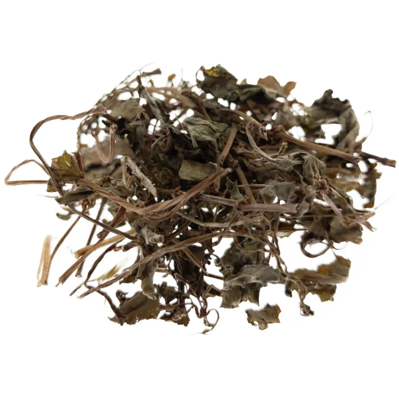 [Jin Qian Cao] Lysimachiae herba