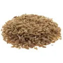 [Fu Xiao Mai] Tritici fructus levis