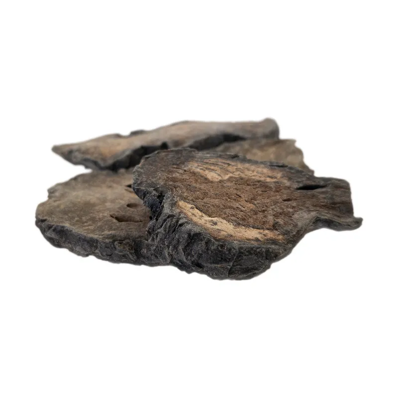 [Rou Cong Rong] Cistanches tubulosa herba