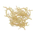 [Deng Xin Cao] Junci medulla