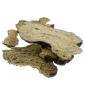 [Bai Zhu (Sheng)] Atractylodis macrocephalae rhizoma