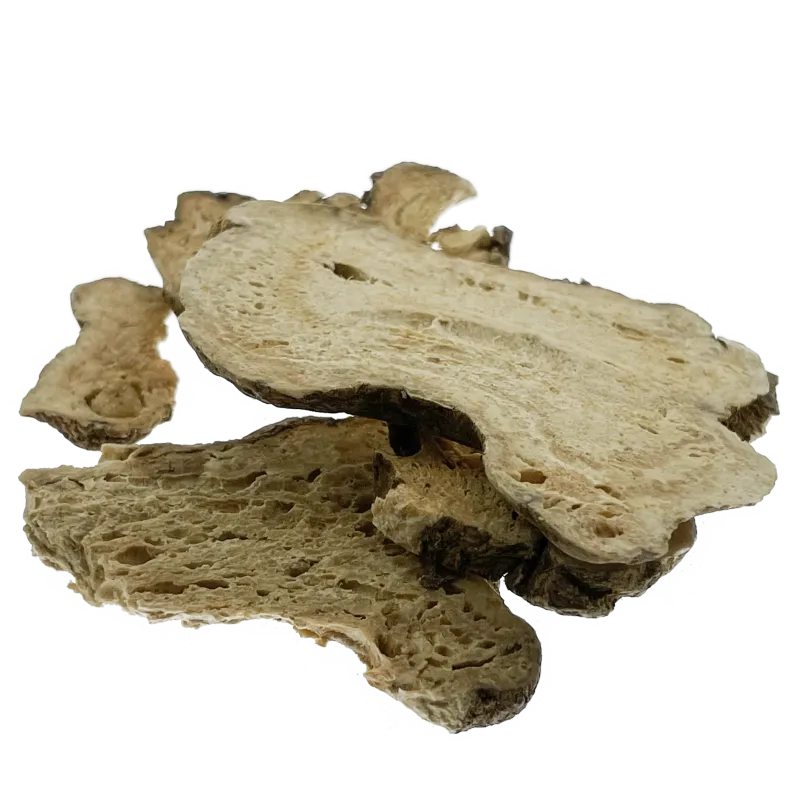 [Bai Zhu (Sheng)] Atractylodis macrocephalae rhizoma