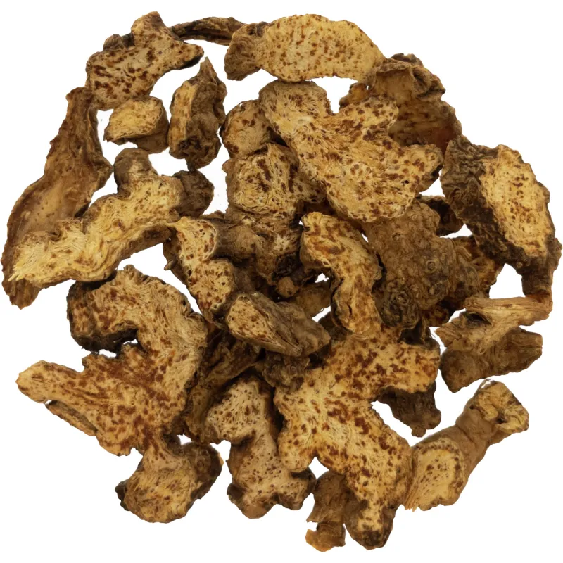 [Cang Zhu] Atractylodis rhizoma