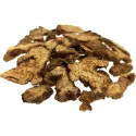 [Cang Zhu] Atractylodis rhizoma