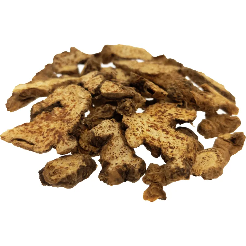 [Cang Zhu] Atractylodis rhizoma