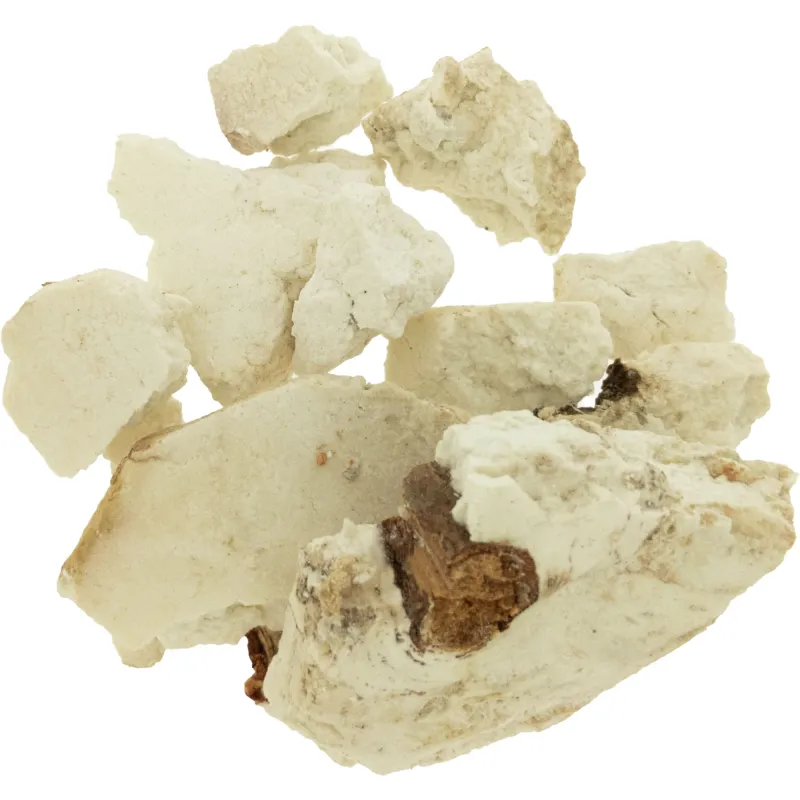 [Fu Shen] Poriae sclerotium circum radicem pini