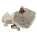 [Fu Shen] Poriae sclerotium circum radicem pini