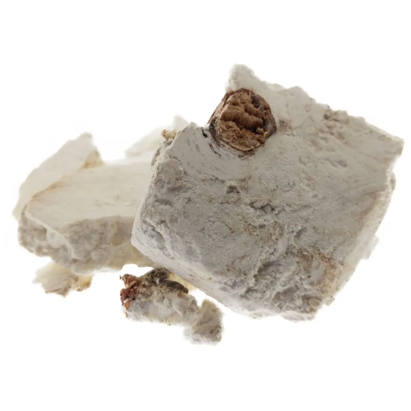 [Fu Shen] Poriae sclerotium circum radicem pini