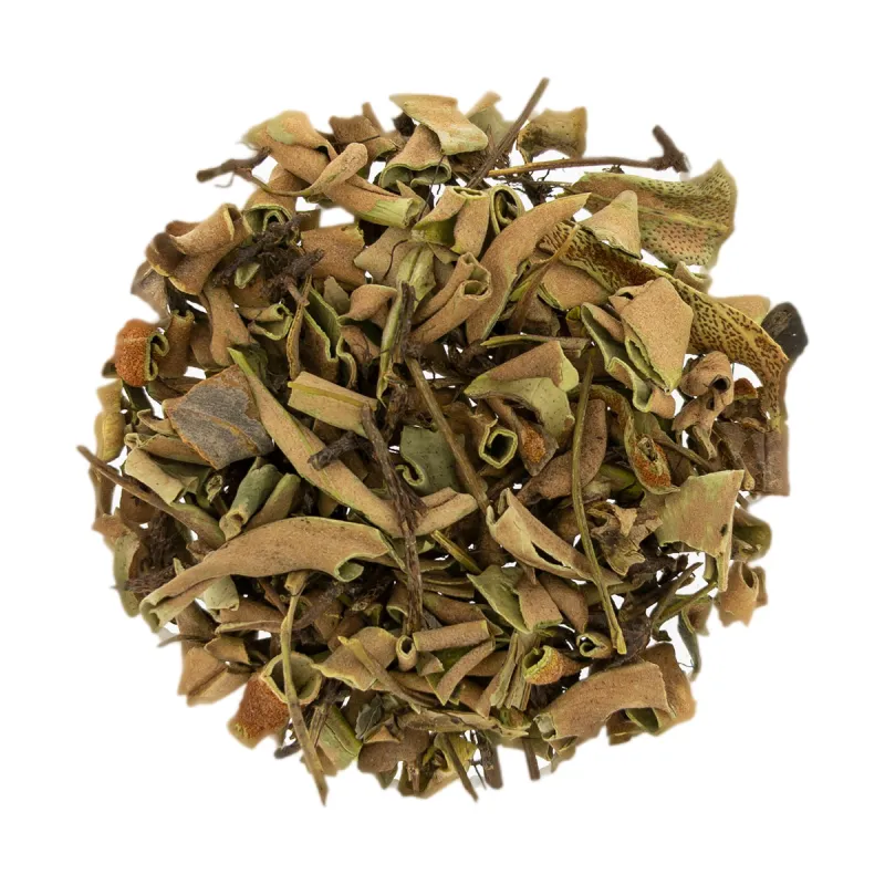 [Shi Wei] Pyrrosiae folium