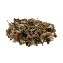 [Shi Wei] Pyrrosiae folium