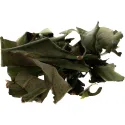 [Pi Pa Ye] Eriobotryae folium