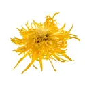 [Jin Si Huang Ju] Goldene Fäden (20 Stk.)