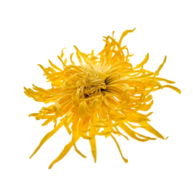 [Jin Si Huang Ju] Goldene Fäden (20 Stk.)