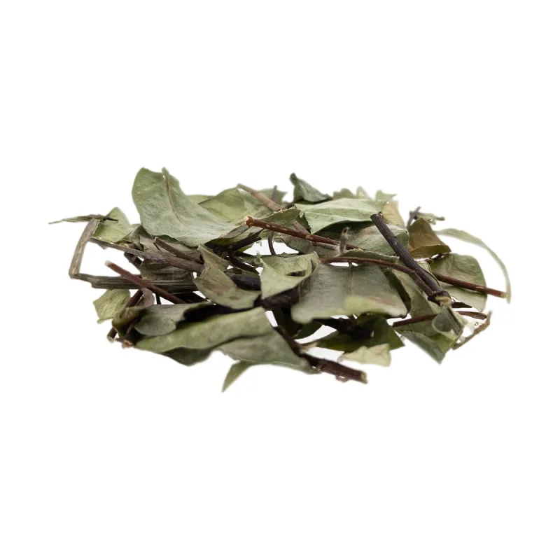 [Luo Shi Teng] Trachelospermi caulis et folium