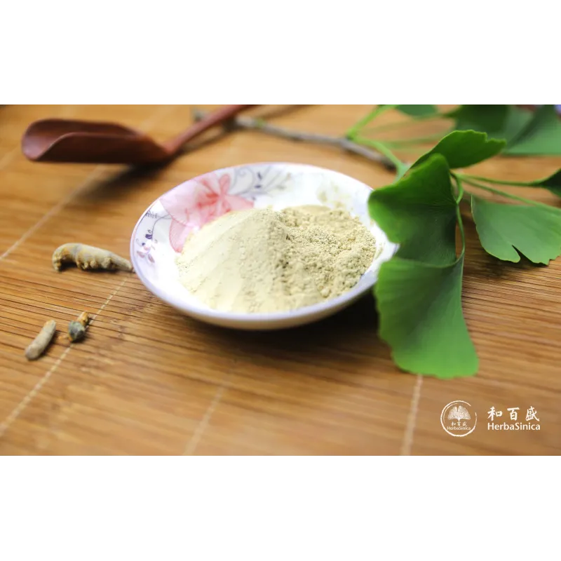 [San Qi Fen] 三七粉 100克