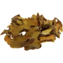 [She Gan] Belamcandae rhizoma