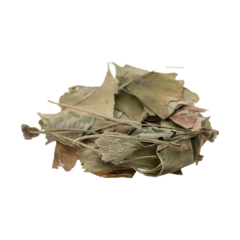 [Yin Xing Ye] Ginkgo folium