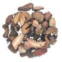 [Quan Shen] Bistortae rhizoma